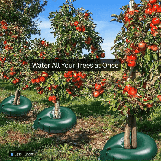Plantify™Tree Watering bag - Bulk Order